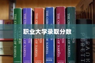 职业大学录取分数背后的故事揭秘