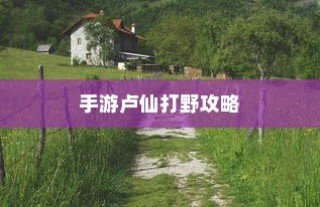 手游卢仙打野攻略，玩转野外战场技巧秘籍