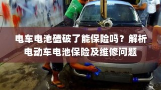 外贸猫结构探索，深度观察与分析