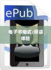 iPhone起点阅读器支持的电子书格式及阅读体验探讨