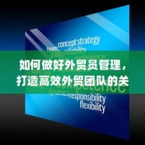高效外贸团队建设的核心策略，外贸员管理与团队效能提升之道