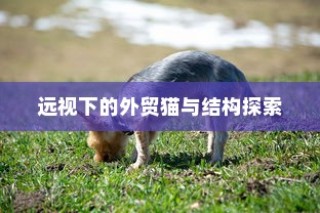 电车转速表的核心价值，探究其重要性、背后原因与功能意义