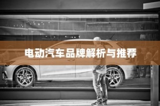 电动汽车品牌深度解析与推荐指南