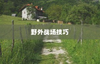 手游卢仙打野攻略，玩转野外战场技巧秘籍