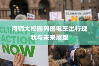 纯电车起火事件深度解析，涉及车型与原因的探讨及应对之道