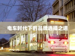 电车时代品牌选择攻略，明智决策你的出行之选