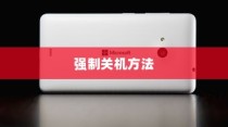 解决vivo手机屏幕失灵无法操作时如何强制关机的方法