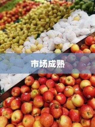 iPhone 13系列不再抢购热潮，供应链稳定与市场成熟带来的新篇章