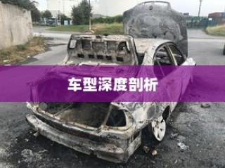 纯电车起火事件背后的车型深度探究