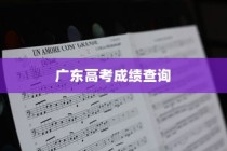 广东高考成绩查询指南，详细步骤与注意事项