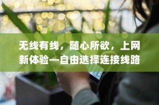 无线有线，随心所欲，上网新体验—自由选择连接线路