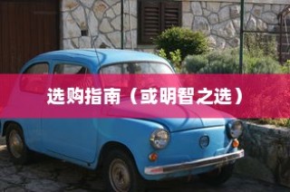探寻电动车品牌之最，明智选购电车指南