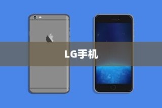 LG和iPhone，是否属于中国的探讨