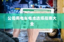 公司用电车电池选择指南，全面解析与选购建议