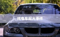 纯电车起火事件背后的车型深度探究