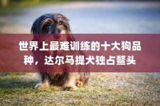 目前玩的人最多的网游排行榜（全球手游排行榜最新Top）