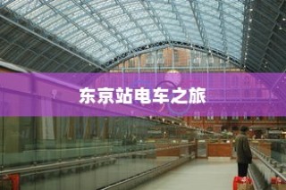 东京站电车探秘之旅，时间与体验交织的旅程