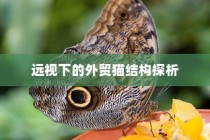 延安大学咸阳医院录取纪实，梦想新征程扬帆启航
