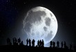 美国科学家成功借得中国月壤样本，NASA拒绝合作背后的尊严考量