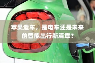 外贸猫结构深度解析，观察与洞察的未来视角