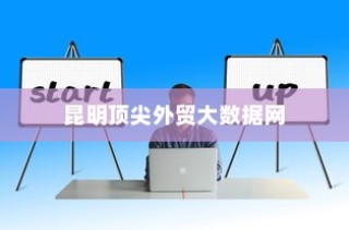昆明顶尖外贸大数据网，引领外贸行业迈入新时代革新之路