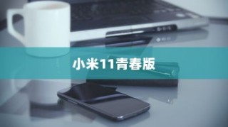 小米11青春版设置一键锁屏教程