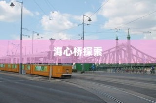 电车自燃现象探究，品牌分析与启示
