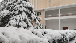 南方首场大到暴雪将至 江浙沪将迎新年首冷