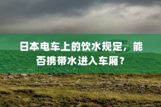 五菱电车高效充电技术解析，助力绿色出行无忧充电体验