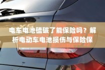 真皮电车坐垫套，通用性深度解析与探讨