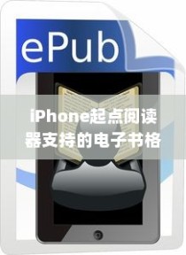 iPhone起点阅读器支持的电子书格式及阅读体验探讨
