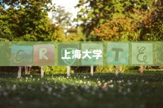 上海大学，多元开放国际高等教育之路的招生概览