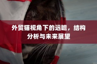 外贸猫视角下的全球贸易格局远瞻与未来展望