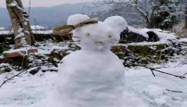 受降雪影响 山西这些高速公路将交通管制