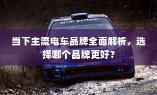 当下主流电车品牌深度解析，哪个品牌更值得选择？