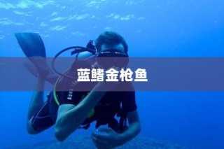 蓝鳍金枪鱼（冠军）