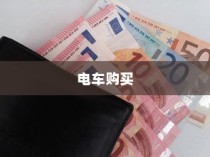 购买电车开票指南与发票问题解答