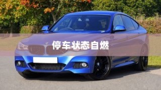 电动汽车安全性解析，停车状态下是否会自燃？