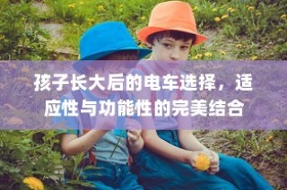 探究外贸鞋业的质量标准与挑战，高要求下的外贸鞋子品质解析