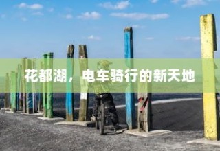 九号大电池电车的实用性和优势解析