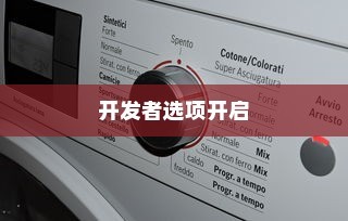 全面解析，如何开启vivo NEX 3s的开发者选项