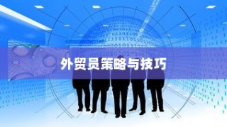 外贸企业管理外贸员的有效策略与技巧深度探讨