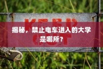 揭秘，哪所大学禁止电车进入？