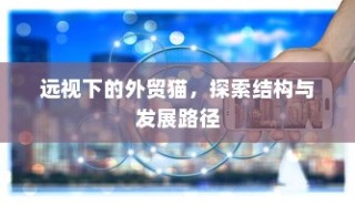 外贸猫，探索远景下的结构与发展路径