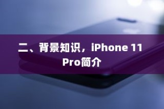 二、背景知识，iPhone 11 Pro简介