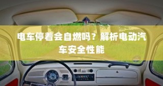 电动汽车安全性能解析，停车状态下是否会自燃？