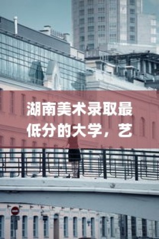湖南美术录取最低分的大学，艺术之门的探索之旅