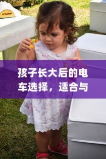 长途出行是否适合购买电动车，全面解析与决策指南