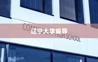 辽宁大学编导录取详解