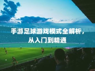 电车FR功能解析，揭示FR的真正含义